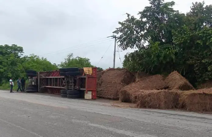 Vuelca tráiler cargado con zacate en Tamuín