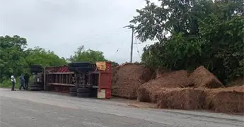 Vuelca tr&aacute;iler cargado con zacate en Tamu&iacute;n