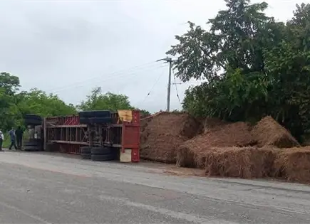 Vuelca tr&aacute;iler cargado con zacate en Tamu&iacute;n