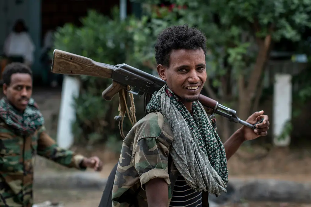 Aliados del gobierno entran en Mekelle tras retirada del FLPT