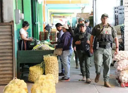 Asegura GCE 58 kilos de marihuana en una semana Asegura GCE 58 kilos de marihuana en una semana