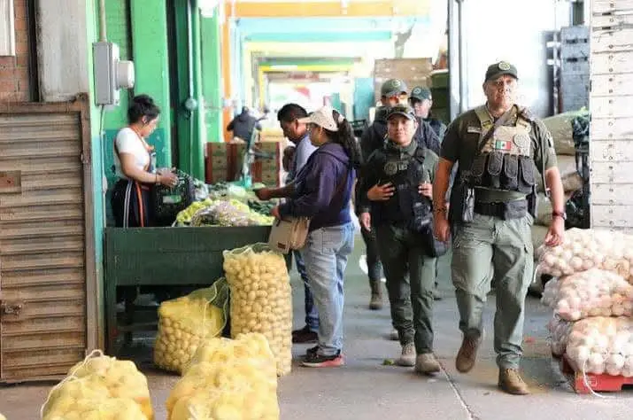 Asegura GCE 58 kilos de marihuana en una semana Asegura GCE 58 kilos de marihuana en una semana