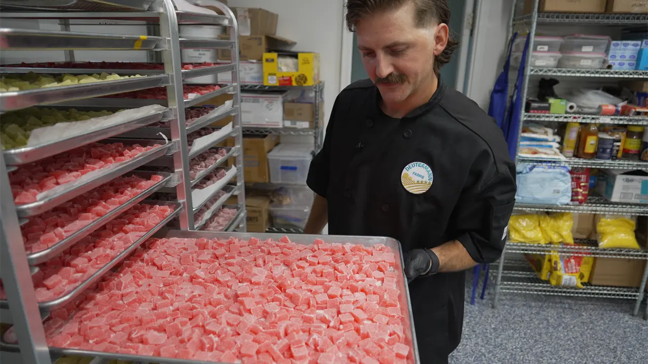 Congreso cierra vacío legal que permitió gomitas con THC en cáñamo