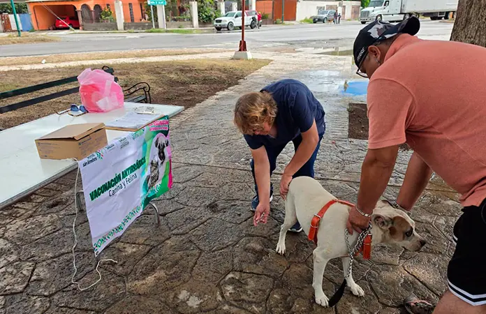 En marcha campaña de vacunación antirrábica