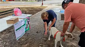 En marcha campaña de vacunación antirrábica