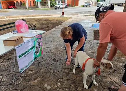 En marcha campa&ntilde;a de vacunaci&oacute;n antirr&aacute;bica