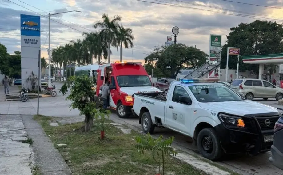 Muere un hombre por ataque de abejas en Ciudad Valles