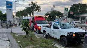Muere un hombre por ataque de abejas en Ciudad Valles