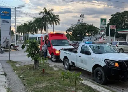 Muere un hombre por ataque de abejas en Ciudad Valles Muere un hombre por ataque de abejas en Ciudad Valles