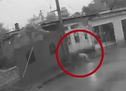 Perro muere electrocutado en calles de M&eacute;rida