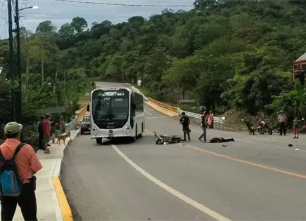 Fallece motociclista embestido por un camión Fallece motociclista embestido por un camión