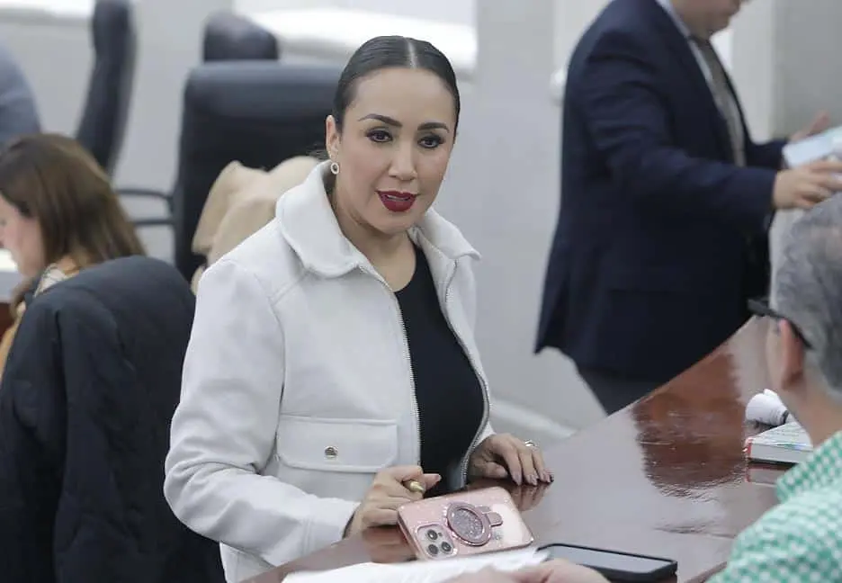 Brisseire Sánchez López presentó la iniciativa sobre seguridad en compraventas por redes sociales.