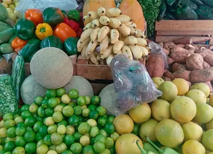 Reducen precios de las hortalizas Reducen precios de las hortalizas