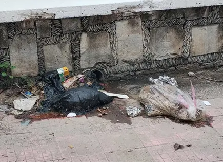 Investiga Ecolog&iacute;a tiradero de basura