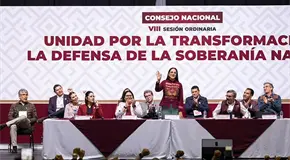 Podemos ganar sin aliados, dice Consejo de Morena