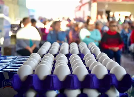 SLP ocupa quinto lugar nacional en producci&oacute;n de huevo