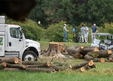 Jueza ordena frenar tala en campo de golf en Washington