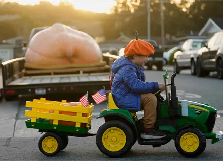 Calabaza de Rhode Island de 1,432 kilos espera la certificaci&oacute;n como nuevo r&eacute;cord mundial