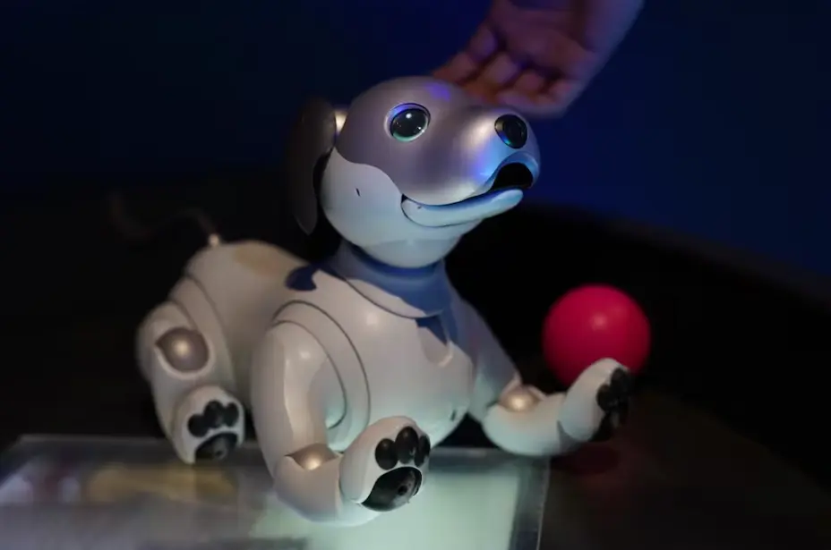 Perro robot de Agnieszka Pilat causa sensación en Museo Franz Mayer