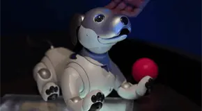 Perro robot de Agnieszka Pilat causa sensación en Museo Franz Mayer