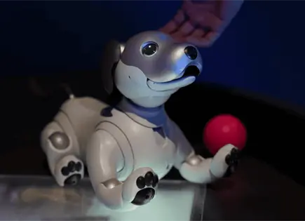 Perro robot de Agnieszka Pilat causa sensación en Museo Franz Mayer Perro robot de Agnieszka Pilat causa sensación en Museo Franz Mayer