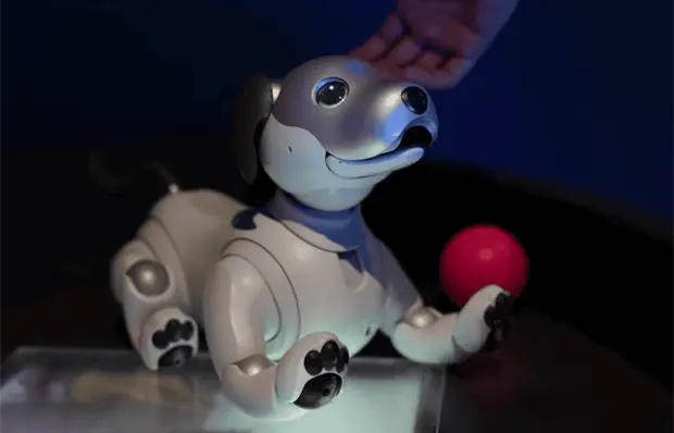 Perro robot de Agnieszka Pilat causa sensaci&oacute;n en Museo Franz Mayer