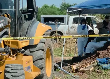 Localizan tres cuerpos en fosas clandestinas Localizan tres cuerpos en fosas clandestinas