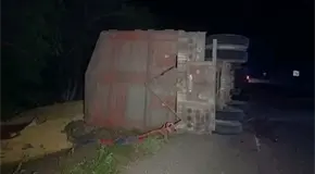 Vuelca tráiler con alimento para ganado en la Tamuín-San Vicente