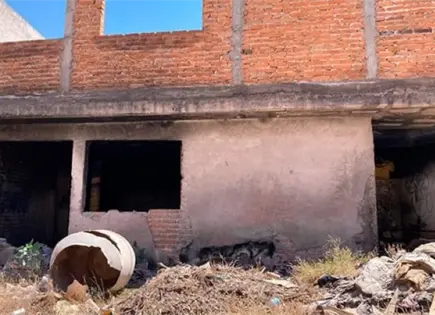 Ecolog&iacute;a intervendr&aacute; 50 terrenos abandonados por due&ntilde;os