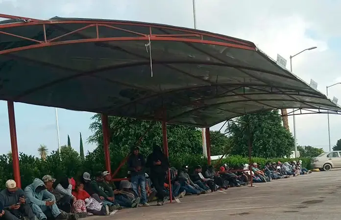 Empleados de invernadero se manifiestan