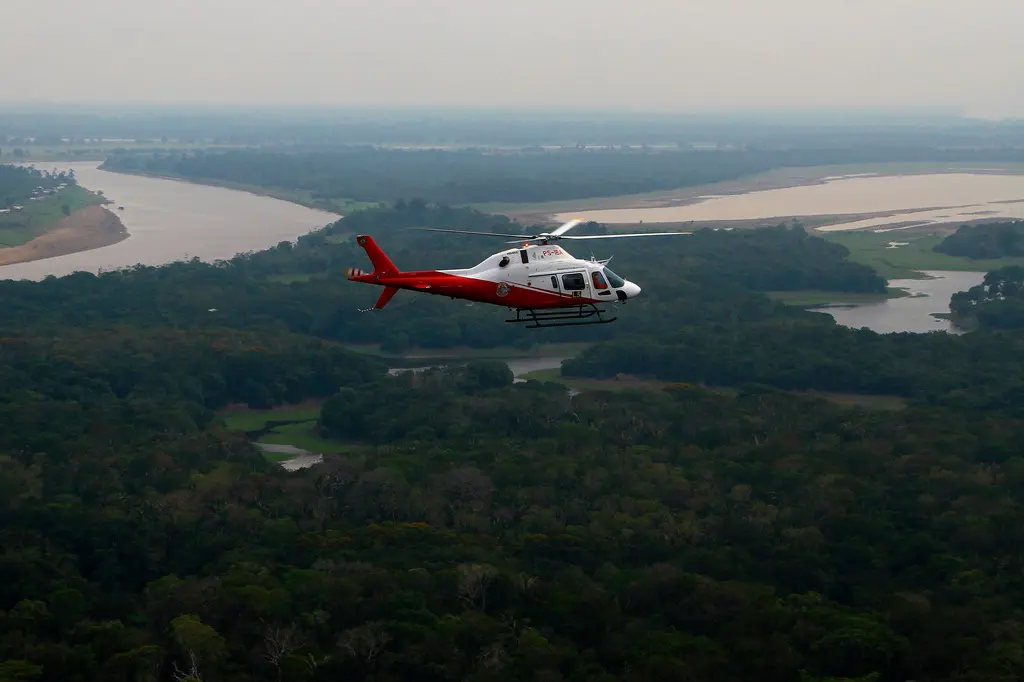 Brasil asegura baja deforestación en Amazonía