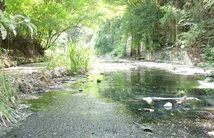 Reincide minera en contaminación del río Santa Catarina