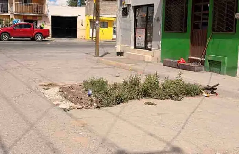 Vecinos temen formación de socavón en la San Antonio