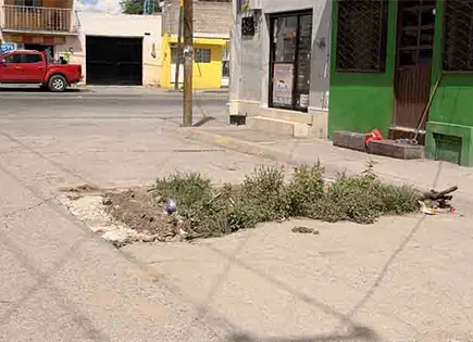 Vecinos temen la formaci&oacute;n de un socav&oacute;n