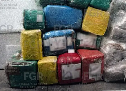 Fotos | Asegura la GN carga de marihuana en el AIPA Fotos | Asegura la GN carga de marihuana en el AIPA