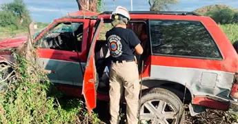 Camioneta se accidenta, se estampa contra &aacute;rbol