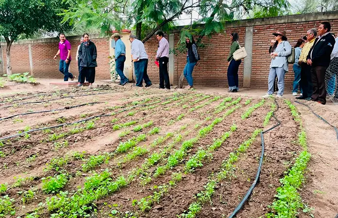 Promueven los huertos escolares en instituciones