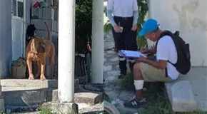 Auxilian a un adulto mayor tras ataque de pitbull