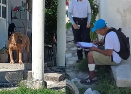 Auxilian a un adulto mayor tras ataque de pitbull Auxilian a un adulto mayor tras ataque de pitbull