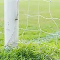 Muere ni&ntilde;o de 4 a&ntilde;os tras accidente en canchas del Inpojuve