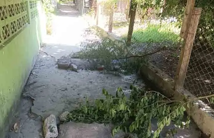 Denuncian invasión de andador peatonal