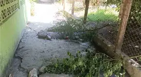 Denuncian invasi&oacute;n de andador peatonal