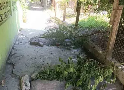 Denuncian invasi&oacute;n de andador peatonal