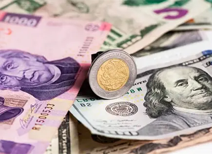 Dólar, en su mayor precio en 14 meses Dólar, en su mayor precio en 14 meses