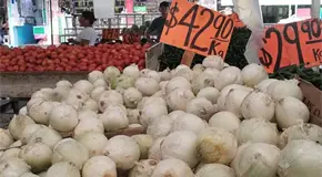 Escasez de cebolla por lluvias dispara precio