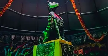 Instalar&aacute;n un altar de mascotas muertas