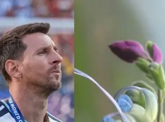 Salvia messii: nueva especie andina nombrada en honor a Lionel Messi