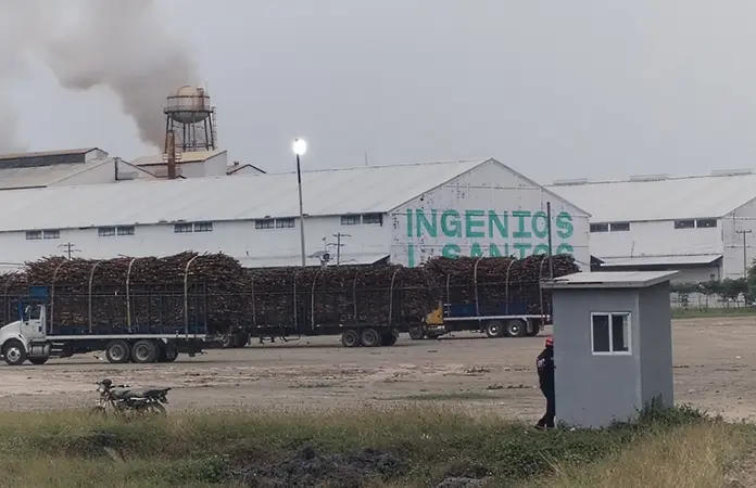 Iniciará zafra en el IPA el 15 de noviembre