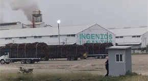 Iniciará zafra en el IPA el 15 de noviembre