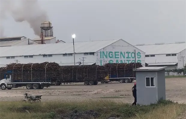 Iniciar&aacute; zafra en el IPA el 15 de noviembre